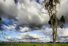 雷火电竞网页版入口-德甲赛季将于5月9日重新开赛，球迷欢喜重返球场！